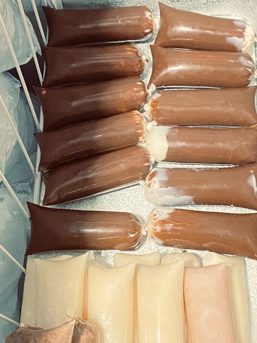 Freezer organizado com fileiras de geladinhos de chocolate, coco, ninho e morango